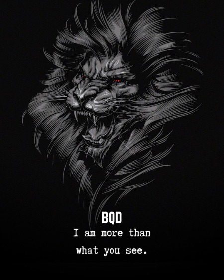 Attitude Quotes image