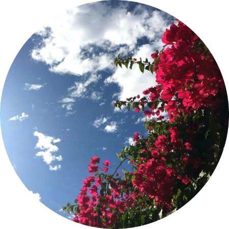 Beautiful Nature image