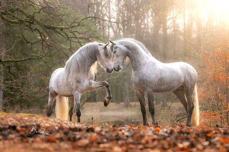 Beautiful Nature image