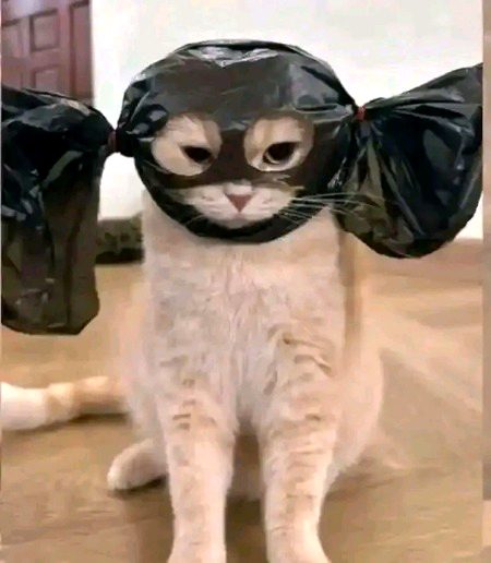 Beautiful Nature image