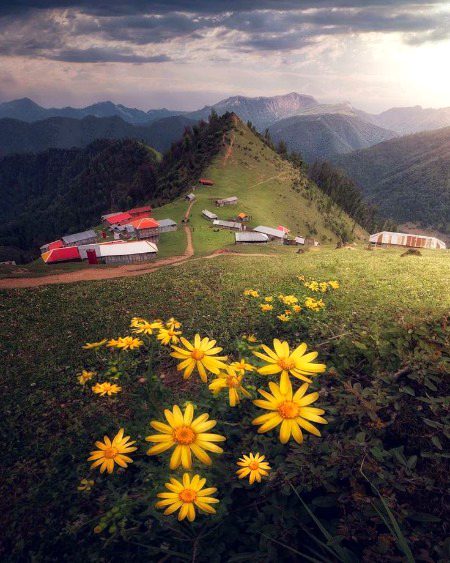 Beautiful Nature image