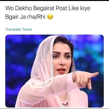 Memes & Satire image