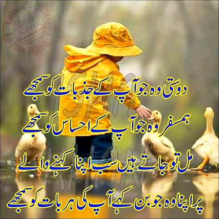 True lines