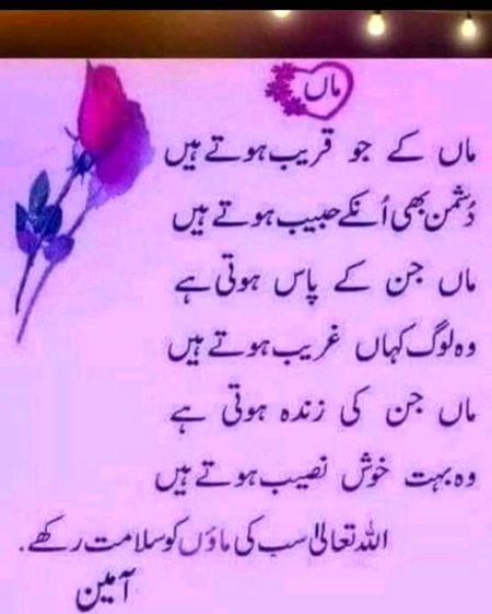.q3 🌷🌷🌻
Maa 🌷🌷tujhy 🌼🌼🌻salam.⚘🌷🌼..
  🌻🌺Ameen🌷🌷