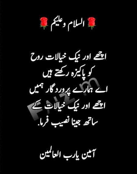 Islamic Quotes image