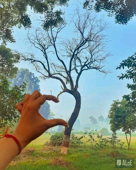 Beautiful Nature image