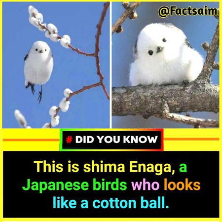 Interesting Posts image