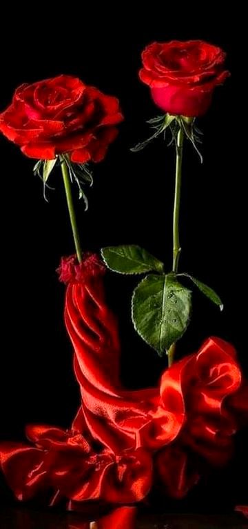 SWEET MORNING