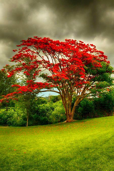 BEAUTIFUL NATURE