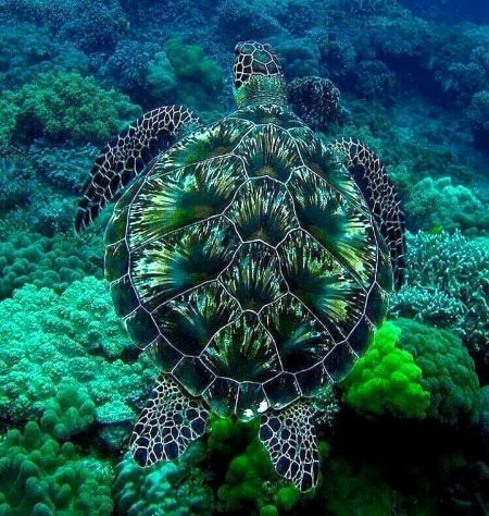 Beautiful Nature image