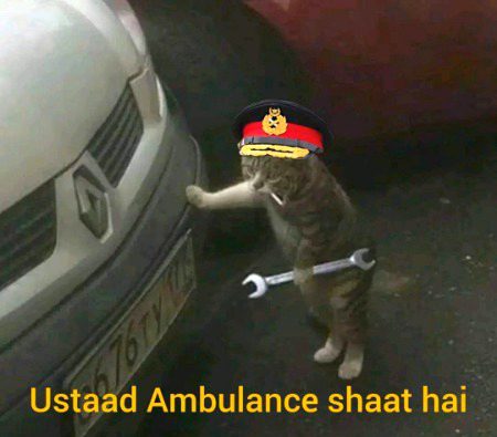 Memes & Satire image