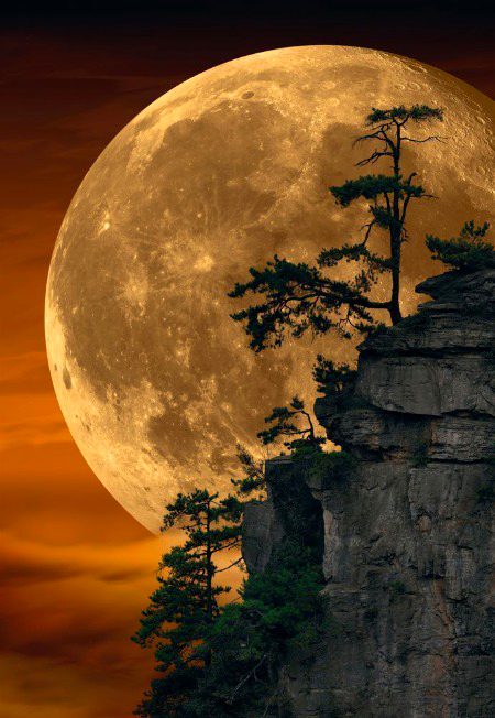 Beautiful Nature image