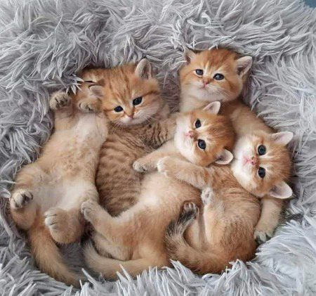 Beautiful Nature image