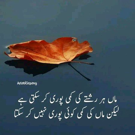 یہ جو مائیں ہوتی ہیں نا۔۔۔۔
یہ گھر کا سکون ہوتی ہیں 😊❤️🥀