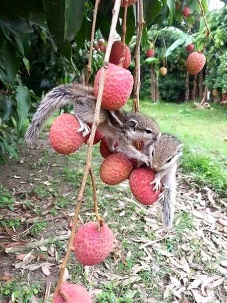 Beautiful Nature image