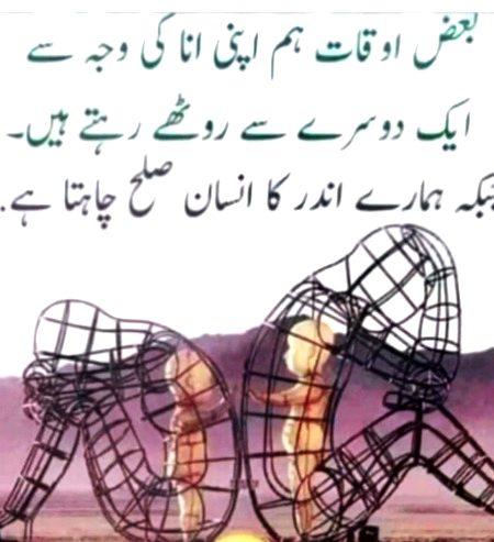 Wehm se bhi khtm ho jaty hn aksar rishty🖤.hr br qsoor ghltion ka nh hota🥀🖤