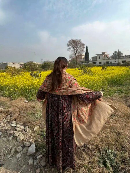 Beautiful Nature image