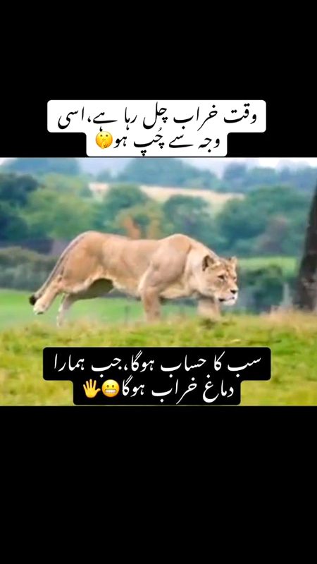 Attitude Poetry image