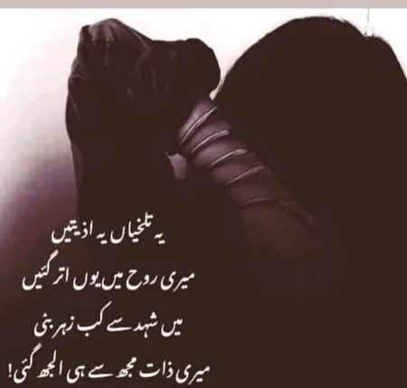 Sad Poetry image