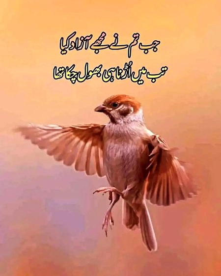 Sad Poetry image