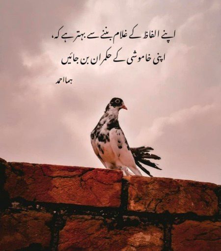 Life Advice image
