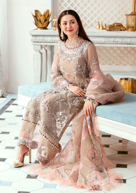 Pakistani Celebs image