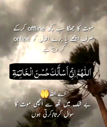 Assalam o Alaikum 🌹