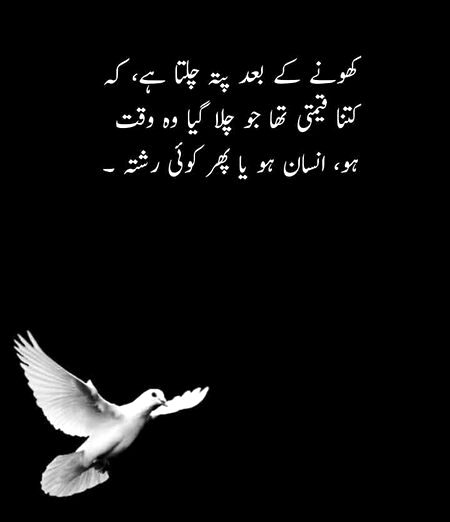 Jb nhi ho gye toh tb pta chlye gi hamri qader