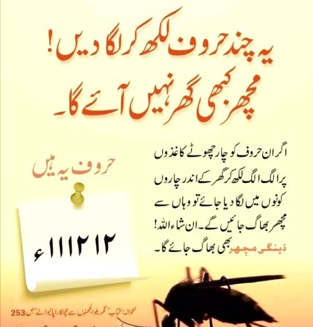 Interesting Posts image