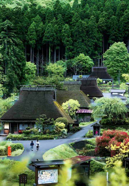 Beautiful Nature image