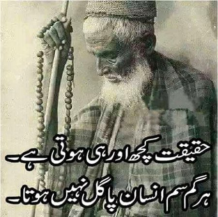 🍁Zoq_Shab🍁