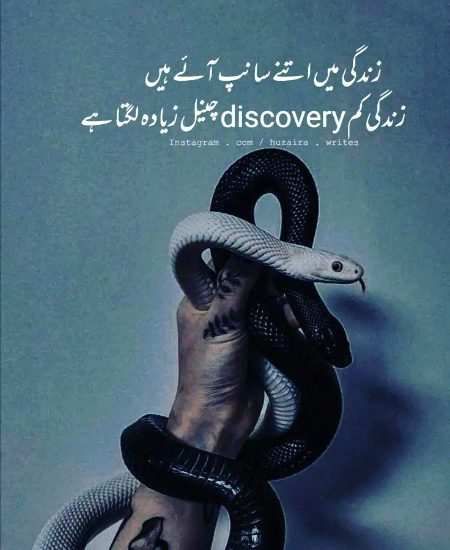 آف 🐍 سانپ💯۔۔۔۔۔۔پری۔۔