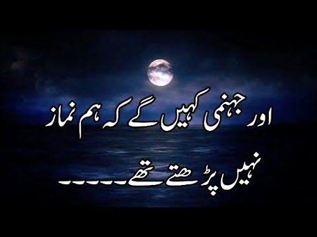🍁Zoq_Shab🍁
