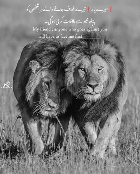 Attitude Poetry image