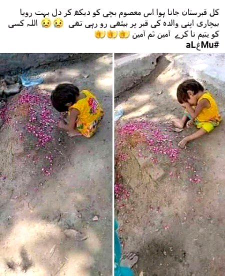 Ameen 🤲🤲