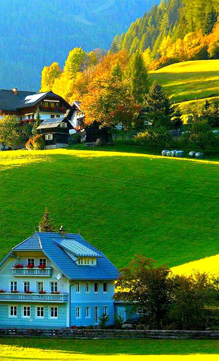 Beautiful Nature image