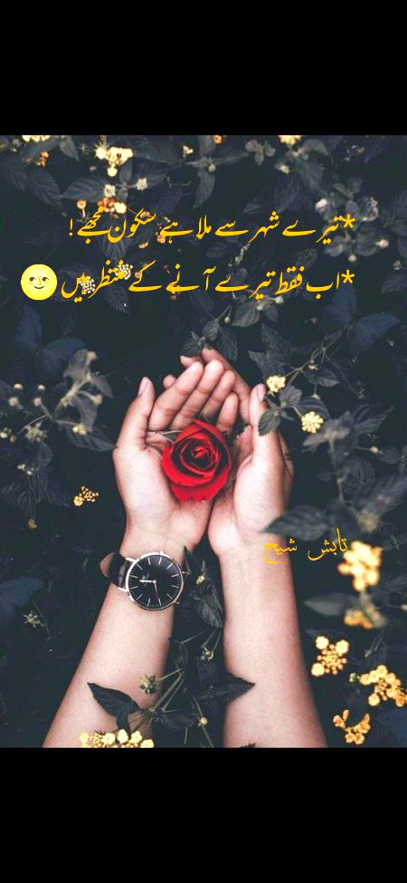 رات دروازے پہ کتنی دستکوں کے نشان تھے پھر وہی پاگل ہَوا تھی ، پھر مجھ سے دھوکہ ہوا