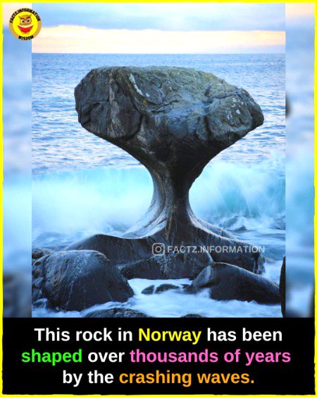 Interesting Posts image