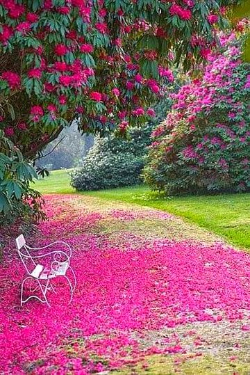 Beautiful Nature image