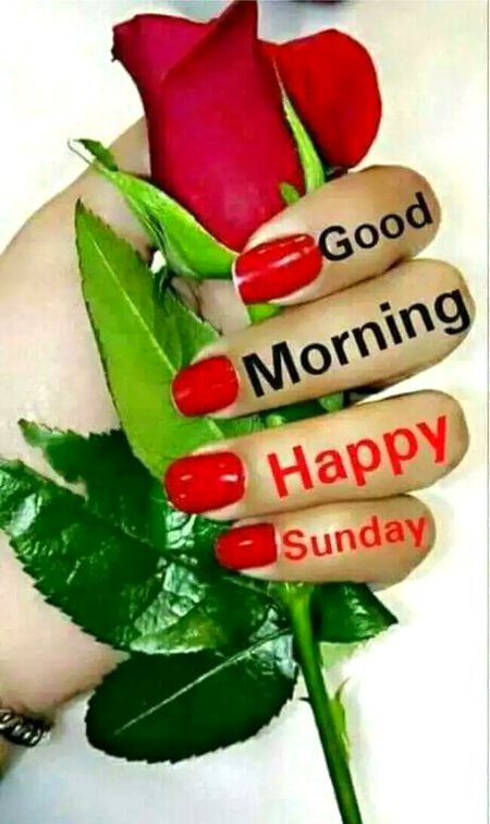 آؤ مل کر خوشیاں منائیں😊😊😊😊😊😊
تم ہمیں لئےچائے بناؤ میں تمہیں لئے بسکٹ لاتی ہوں☕