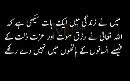 ❤💜❤💚💜❤💚