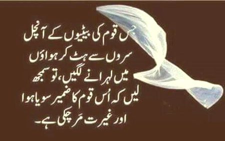 Asslam O Alikum To All sweet dd Family 🌹