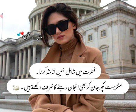 Attitude Quotes image