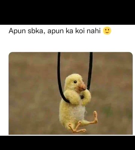Memes & Satire image