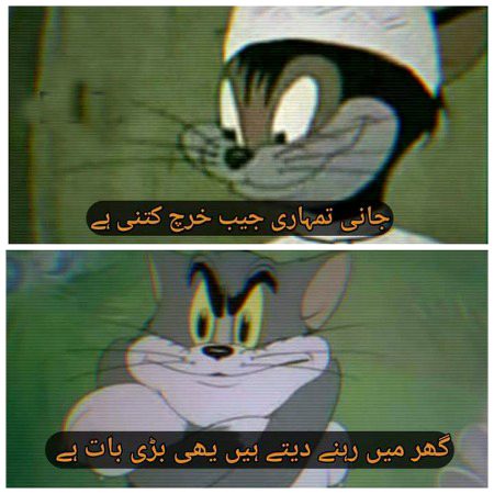 Memes & Satire image