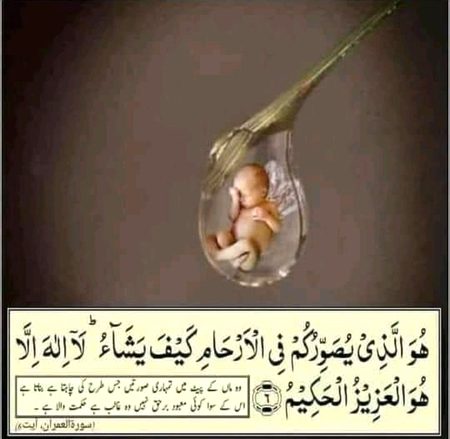 Islamic Quotes image