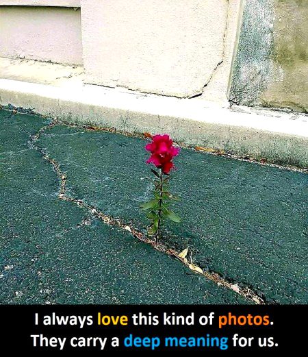 Interesting Posts image