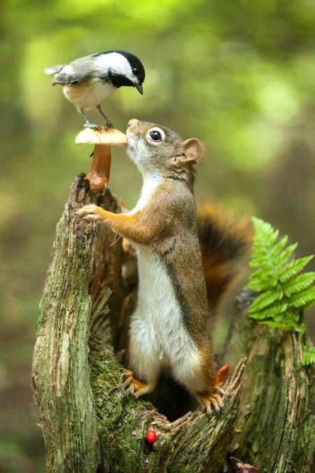 Beautiful Nature image