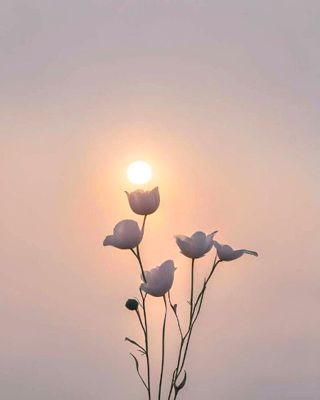 Beautiful Nature image