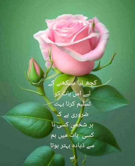 Motivational Quotes image